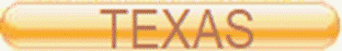 TEXAS.png